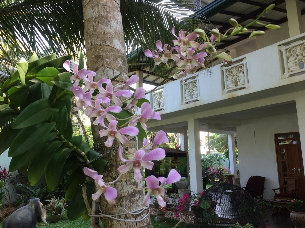 Karl Holiday Bungalow Kalutara Dış mekan fotoğraf